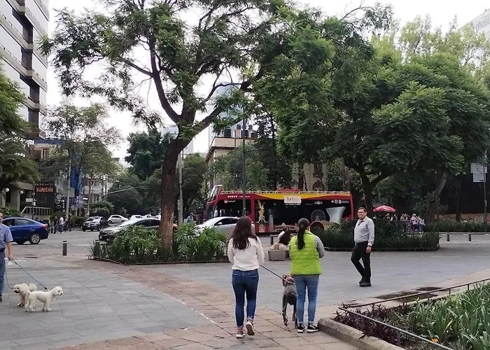 Apartamento Extraordinaria Casa Dentro Del Corazón De La Roma Norte Cdmx
